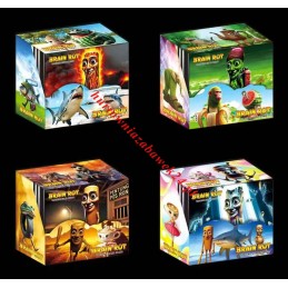 36 SASZETKA Z KARTY BRAIN...